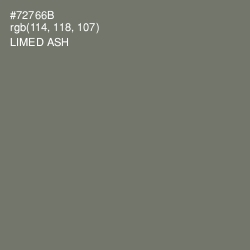#72766B - Limed Ash Color Image